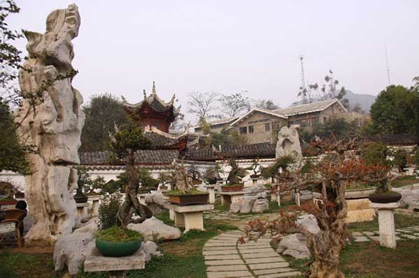 黄果树盆景园