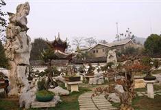 黄果树盆景园有什么好看的