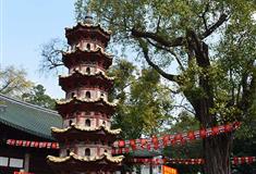 广州光孝寺瘗发塔有什么好看的