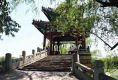 颐和园柳桥有什么好看的