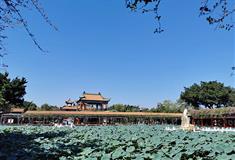 广州宝墨园荷花池有什么好看的