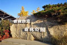 北京奥林匹克森林公园有什么好看的