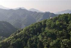 八达岭长城国际友谊林有什么好看的