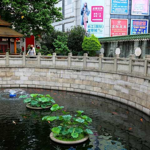 广州纯阳观10493