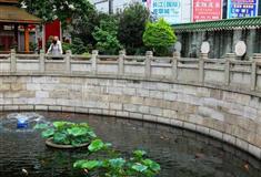 广州纯阳观放生池有什么好看的