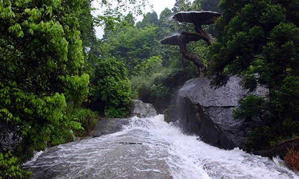 衡阳南岳衡山灵芝泉