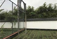 广州神农草堂中医药博物馆蹴鞠台