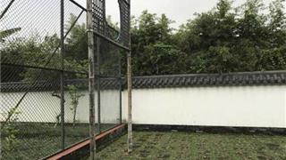 广州神农草堂中医药博物馆蹴鞠台