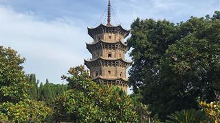 泉州开元寺镇国塔有什么好看的