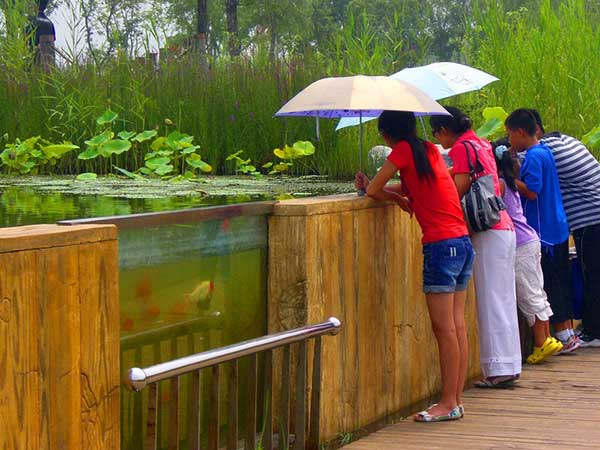 北京奥林匹克公园沉水廊道