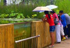 北京奥林匹克公园沉水廊道有什么好看的