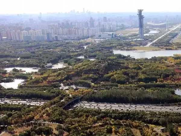 北京奥林匹克森林公园生态廊道