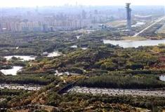 北京奥林匹克森林公园生态廊道有什么好看的