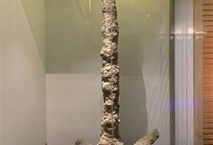 泉州开元寺佛教博物馆有什么好看的