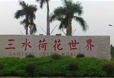 三水荷花世界：美食村