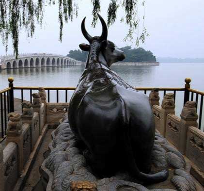 颐和园铜牛