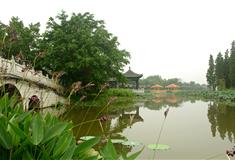 三水荷花世界钓鱼岛有什么好玩的