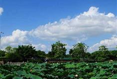 开平立园小花园有什么好看的