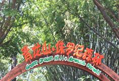 长隆野生动物世界青龙山有什么好看的