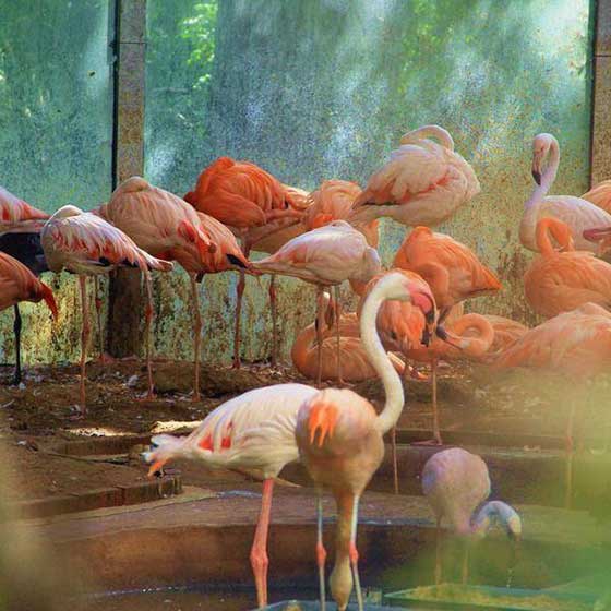 北京动物园11340