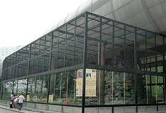 北京动物园猴山有什么好看的