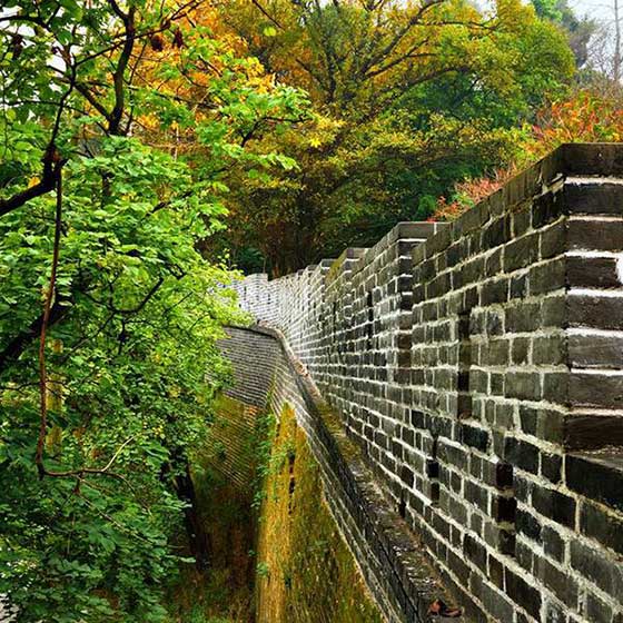 广州越秀公园10868