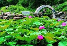 圆明园狮子林有什么好看的