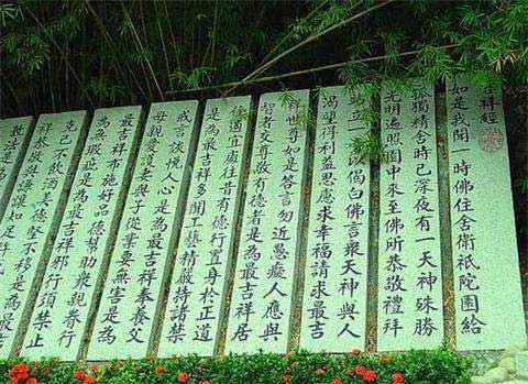 南山文化旅游区11645