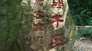 湛江湖光岩负离子区有什么好看的