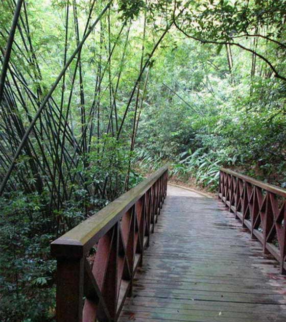 广州越秀公园10867