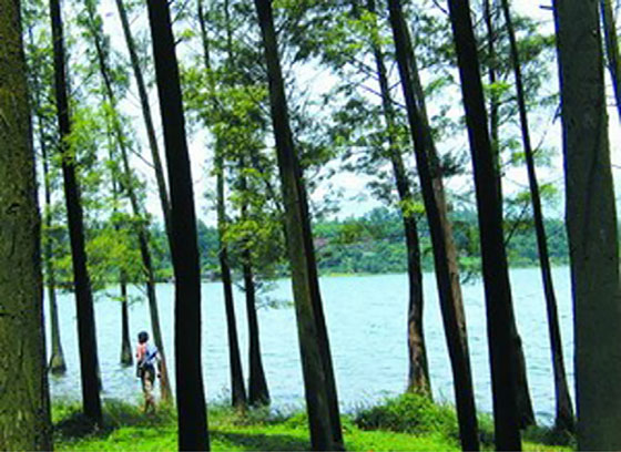 湛江湖光岩风景区11705