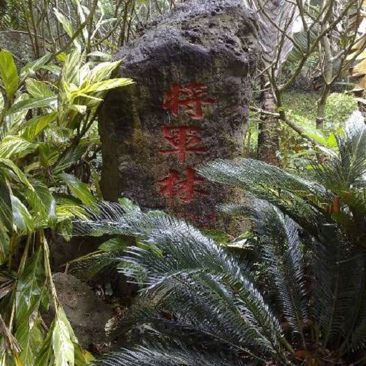 湛江湖光岩风景区11704