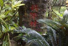 湛江湖光岩将军林有什么好看的