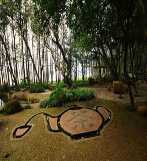 湛江湖光岩风景区11708