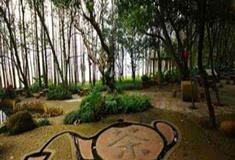 湛江湖光岩茶庄有什么好看的