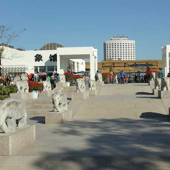 北京动物园11336