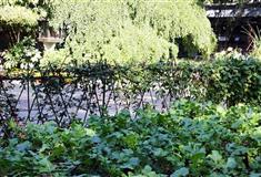 恭王府蓺蔬圃有什么好看的