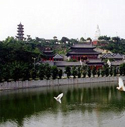 东莞隐贤山庄11658