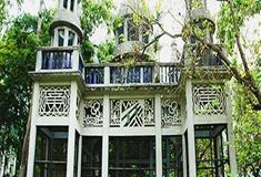 开平立园百鸟归巢有什么好看的