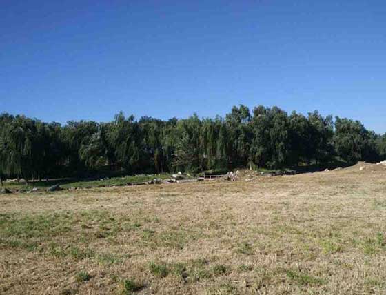 圆明园遗址公园11089