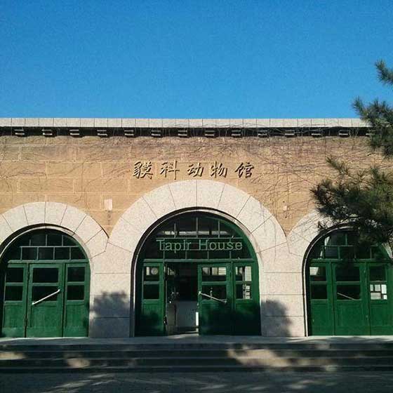 北京动物园11342