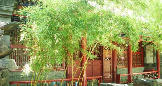 恭王府养云精舍 恭王府养云精舍