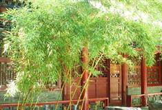 恭王府养云精舍有什么好看的