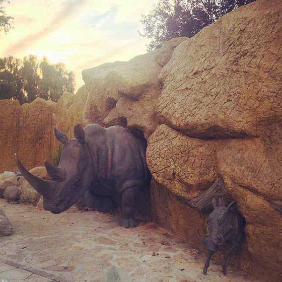 北京动物园11345