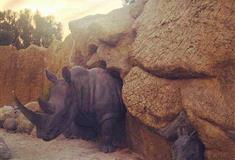 北京动物园犀牛河马馆有什么好看的