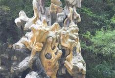 红豆峡景区古槐有什么好看的