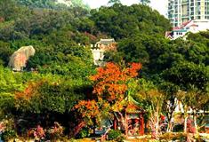 圆明新园蓬岛瑶台有什么好看的