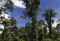 长隆野生动物世界婆罗洲保护区有什么好看的