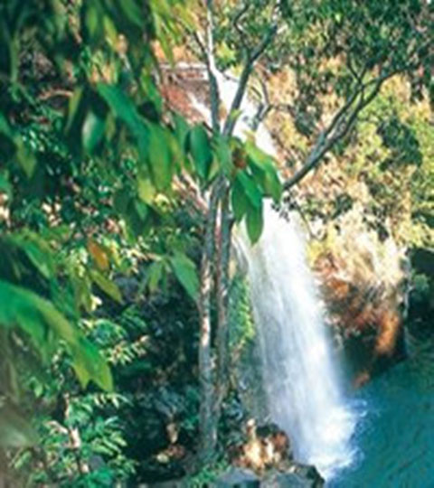 长隆野生动物世界10587