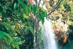 长隆野生动物世界澳洲森林有什么好看的